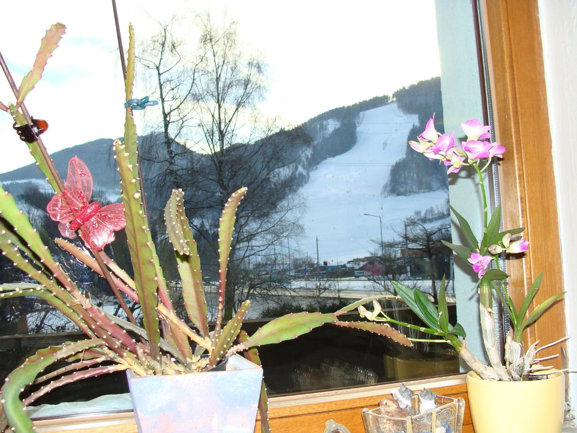 Appartement-Reiteralm Schladming Εξωτερικό φωτογραφία